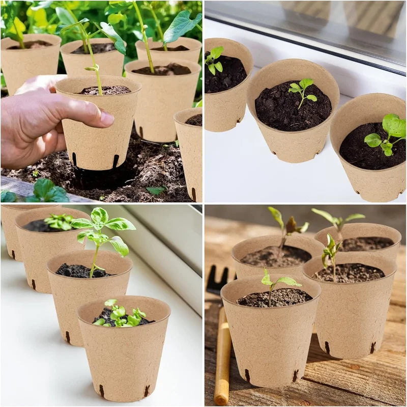 Peat Pots Seed Starting Nursery Pots With Drainage Holes