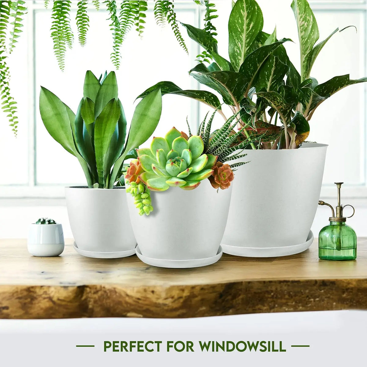 Indoor Plant Pot Set White Plastic Five Drainage Holes Modern Planters Office Home