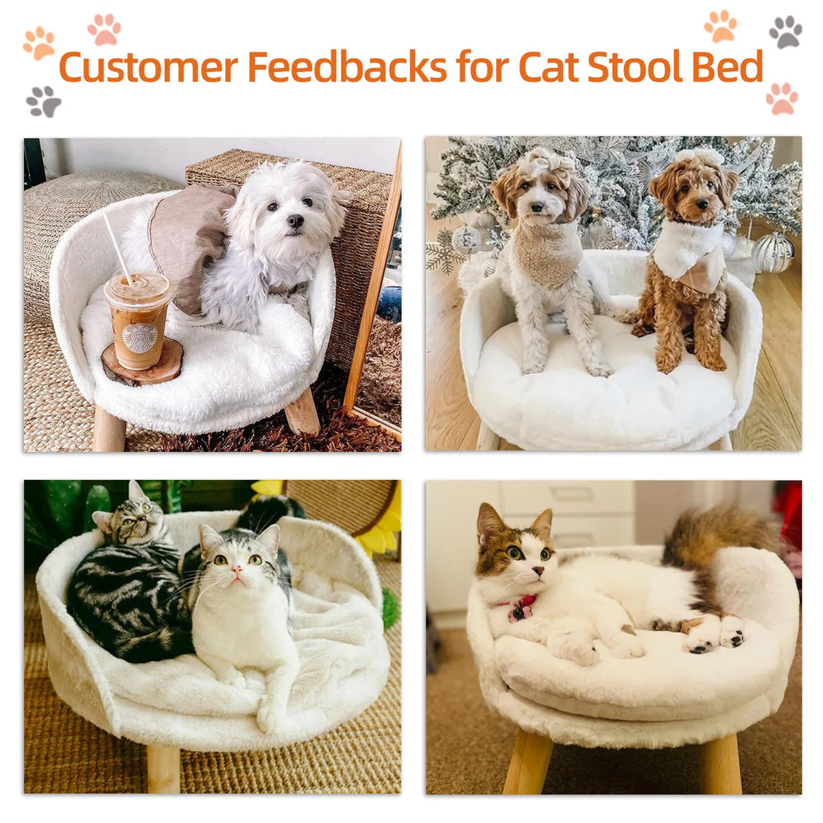 BINGOPAW Raised Pet Sofa Bed with Removable Cushion for Cats
