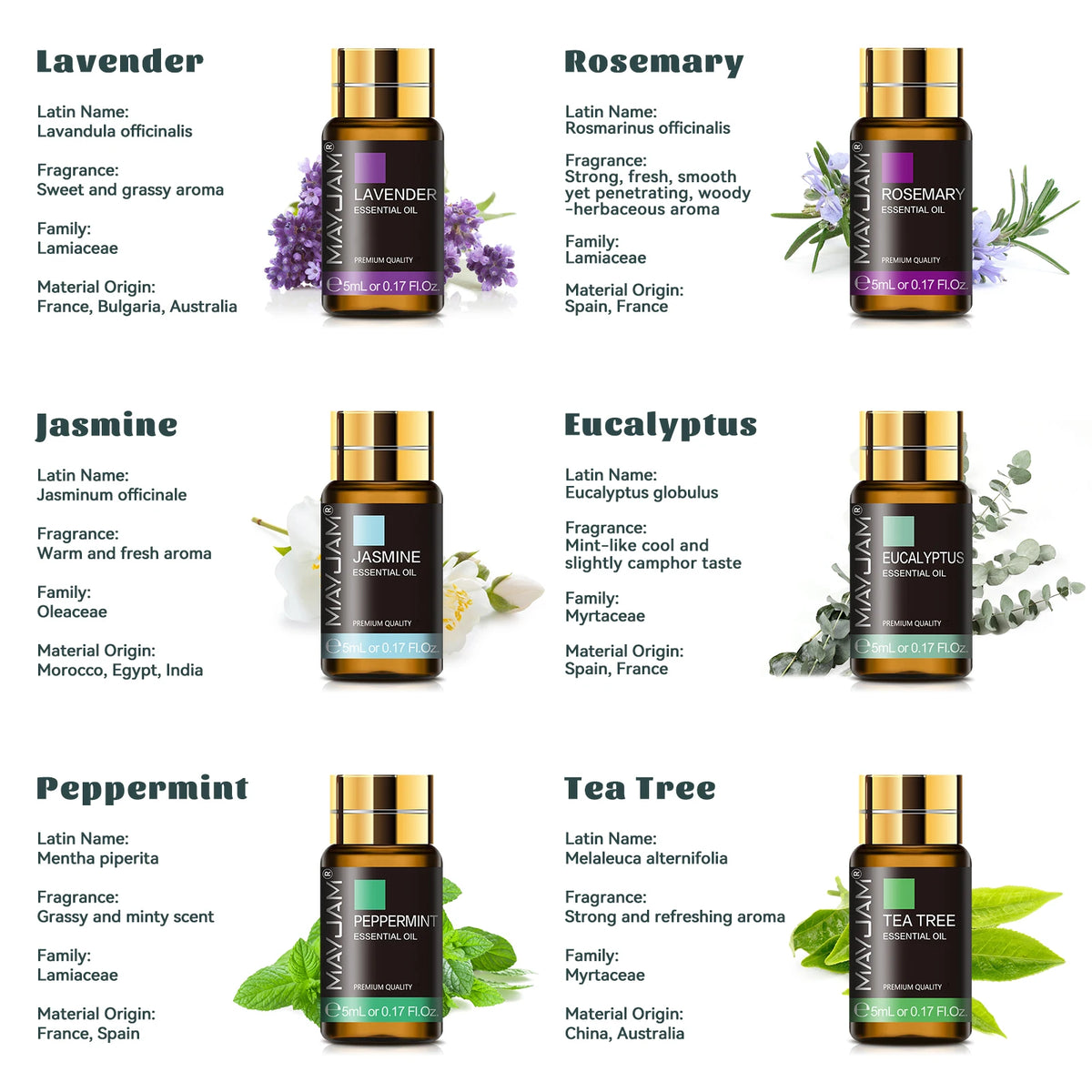 Mayjam 35 Essential Oils Gift Box Set Aromatherapy Kit