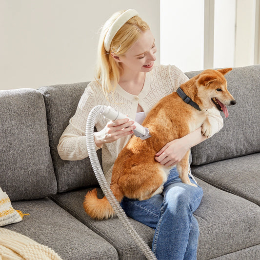 JHK Pet Grooming Vacuum Kit With Clippers And Grooming Tools