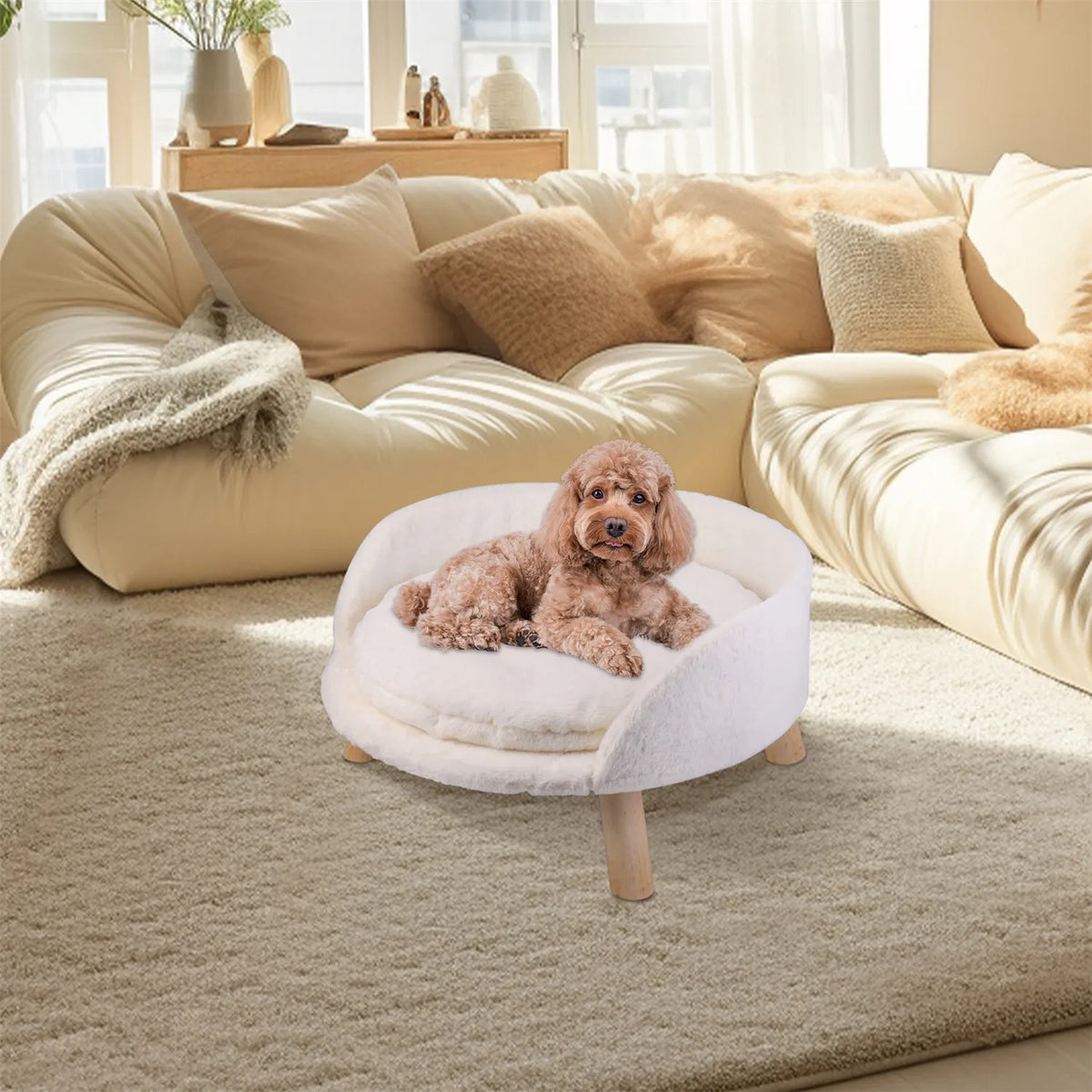 BINGOPAW Raised Pet Sofa Bed with Removable Cushion for Cats