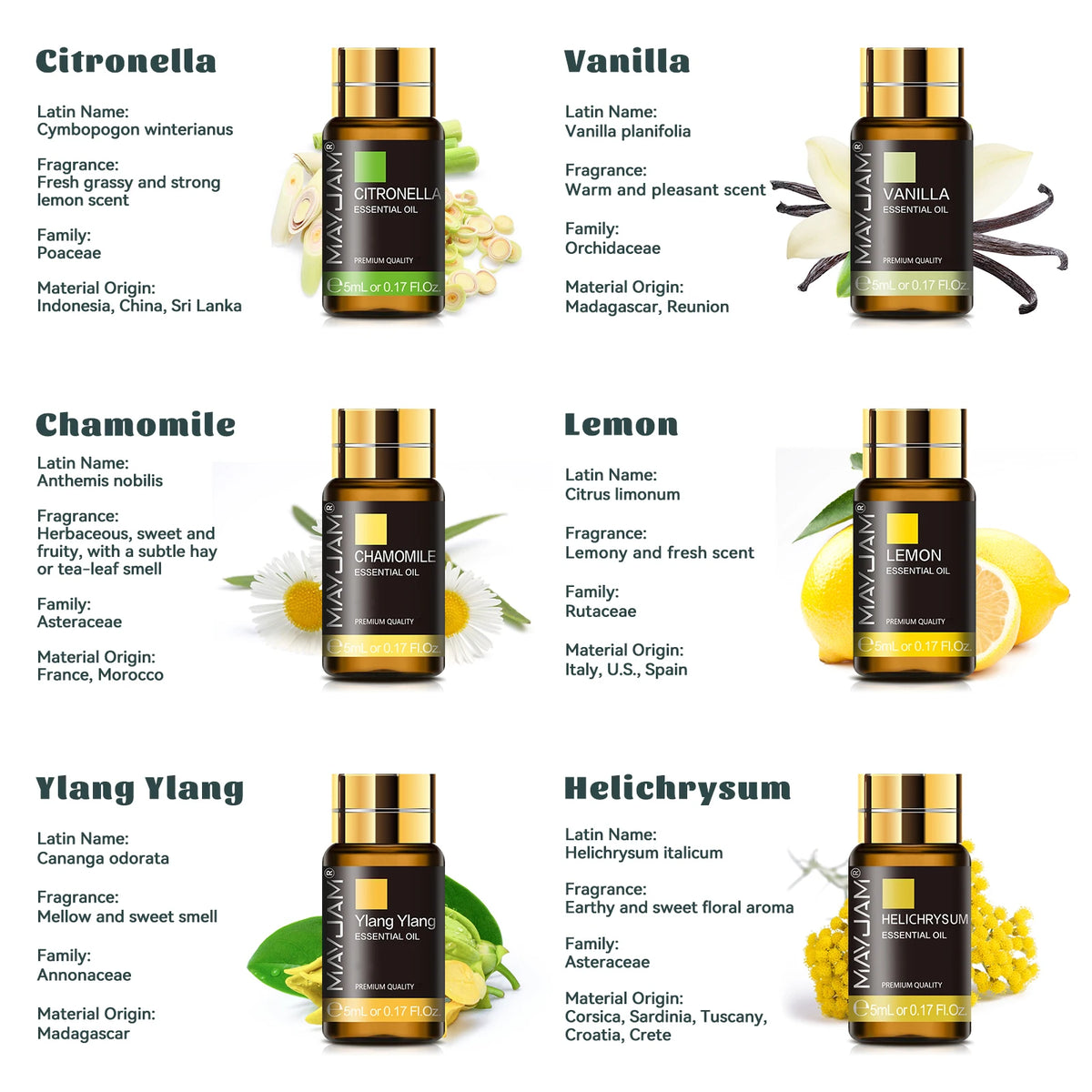 Mayjam 35 Essential Oils Gift Box Set Aromatherapy Kit
