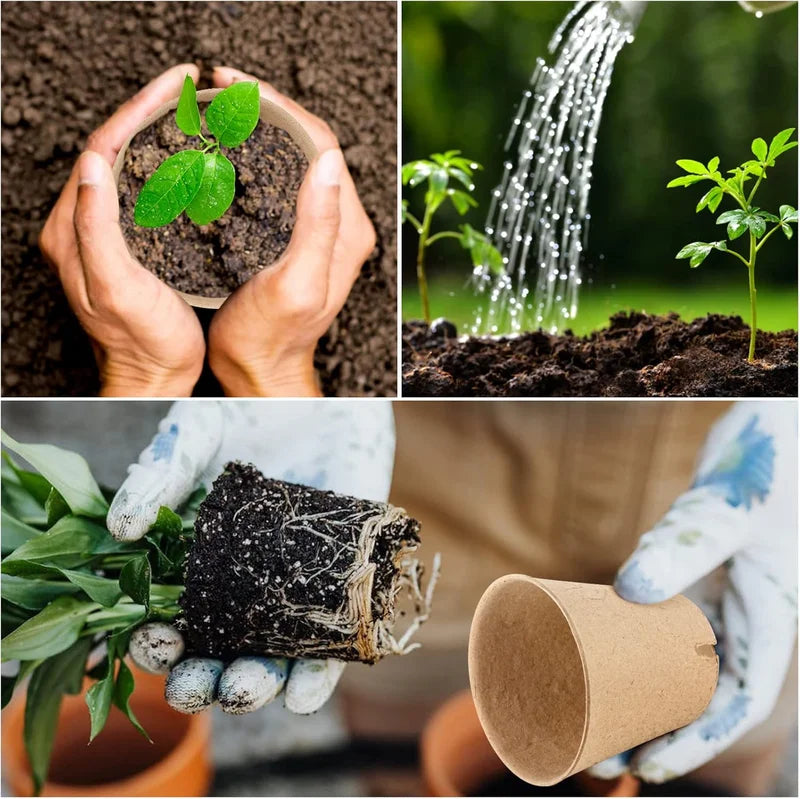 Peat Pots Seed Starting Nursery Pots With Drainage Holes