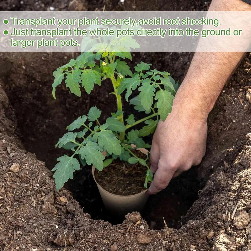 Peat Pots Seed Starting Nursery Pots With Drainage Holes