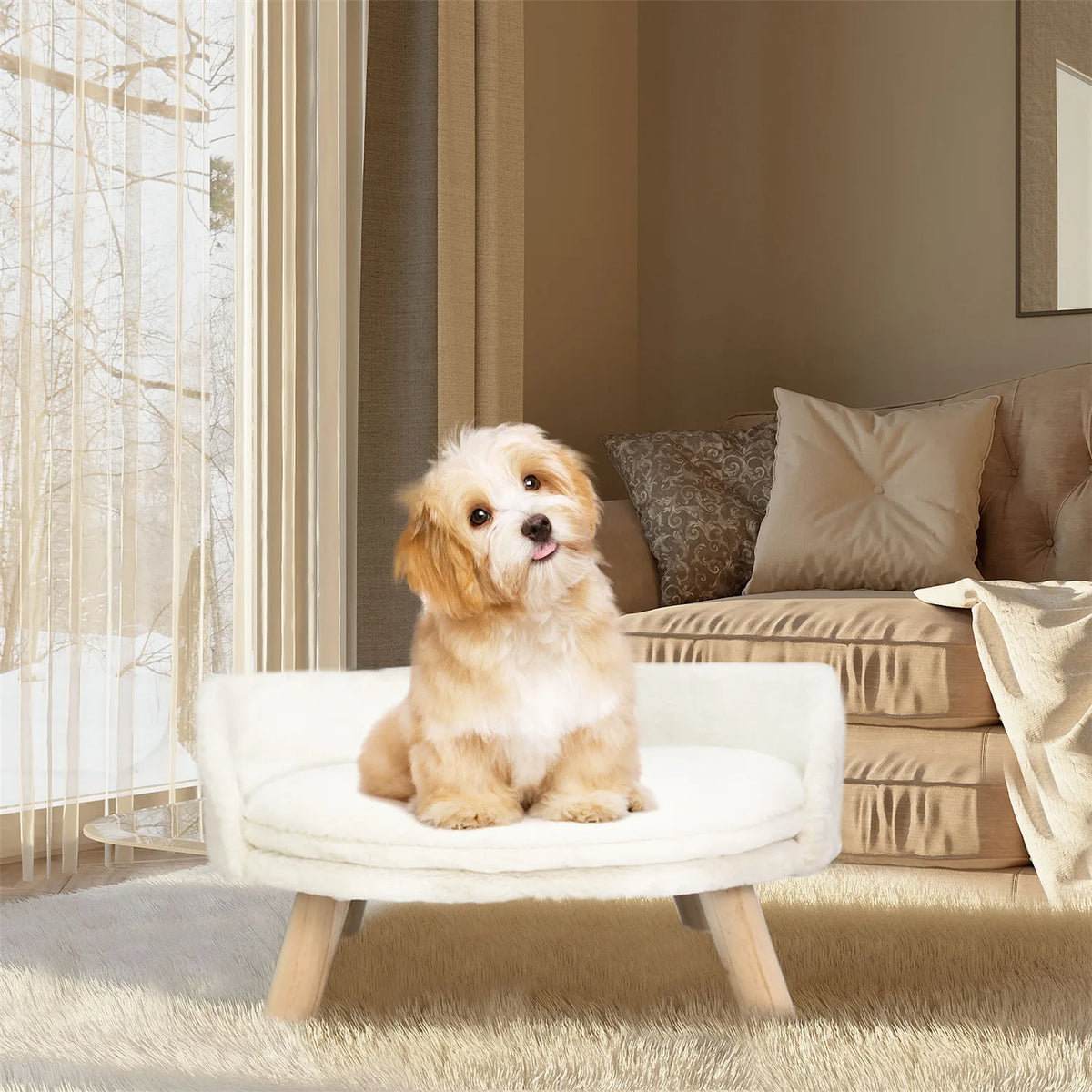 BINGOPAW Raised Pet Sofa Bed with Removable Cushion for Cats