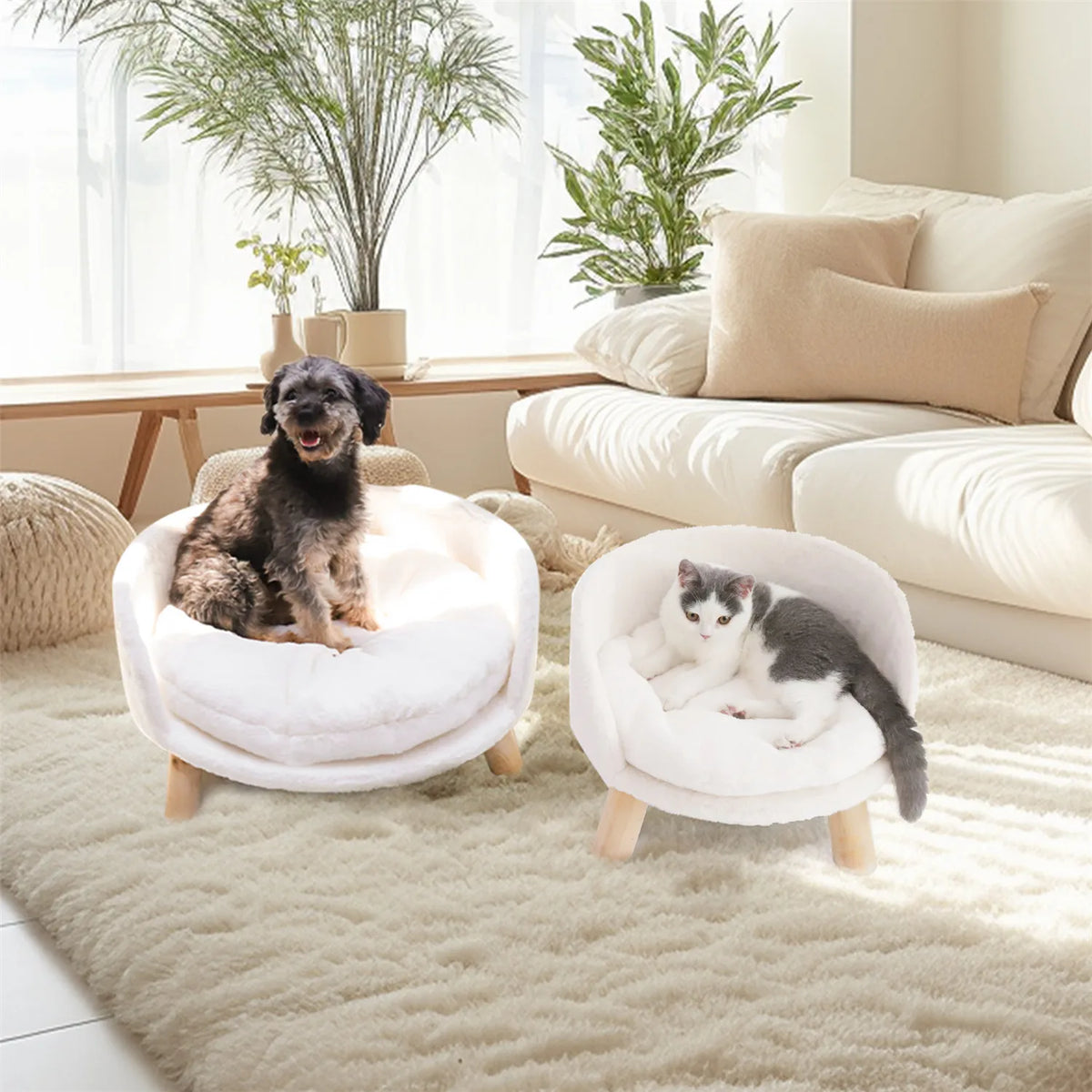 BINGOPAW Raised Pet Sofa Bed with Removable Cushion for Cats